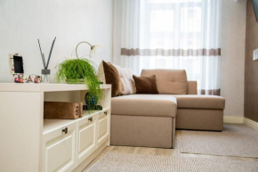 Apartments in Scandinavian Style